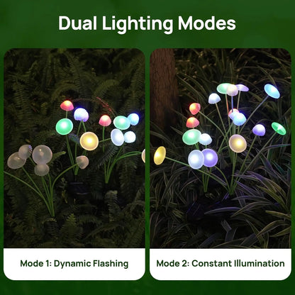 Solar Garden Lights